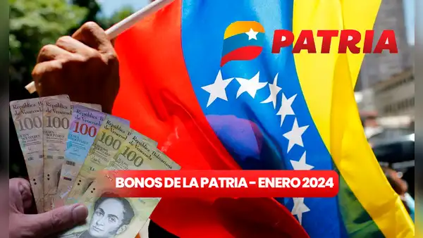 Bonos de la Patria 2024: estos son los subsidios que llegarán desde el 1 al 7 enero