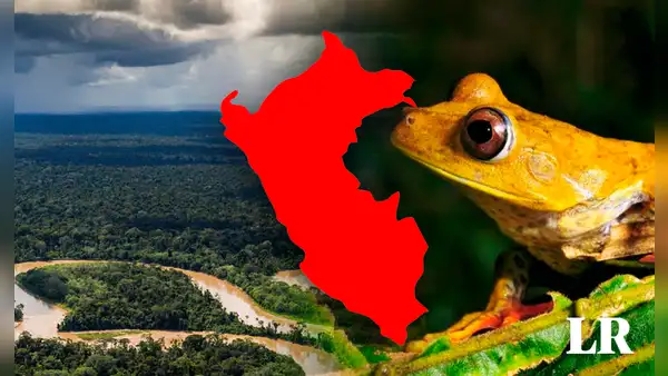 El parque nacional más grande del Perú: no está en Lima y tiene más de 2 millones de hectáreas