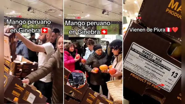 Mango peruano es una sensación en Suiza y usuarios quedan asombrados por el precio: “De Piura para el mundo”