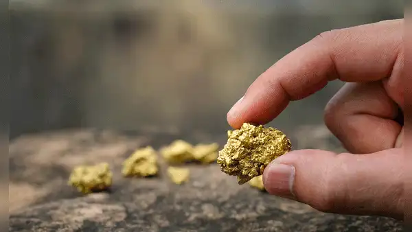 Científicos descubrieron el método para fabricar oro de forma natural: una bacteria es la solución