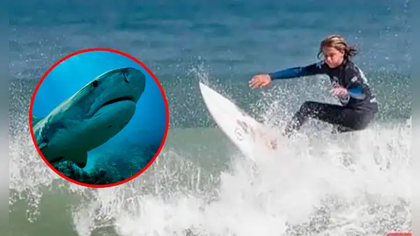 Joven promesa del surf murió a los 15 años tras ser atacado por tiburón de más de 4 metros