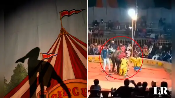 Acróbata sufre accidente con cuerda y muere ahorcada en pleno show de circo frente al público