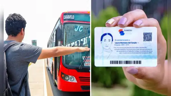 Carnet universitario: ¿aplica medio pasaje en temporada de vacaciones de instituto o universidad?