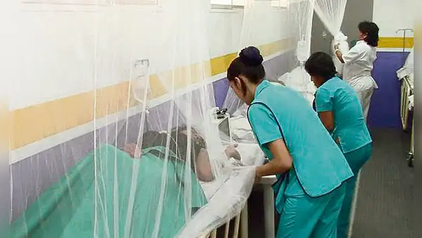 Dengue amenaza nuevamente a la salud pública en el Perú