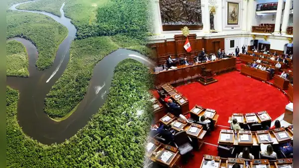 Especialistas sobre Ley Forestal en el Congreso: “Nuestras autoridades están regalando el Perú”