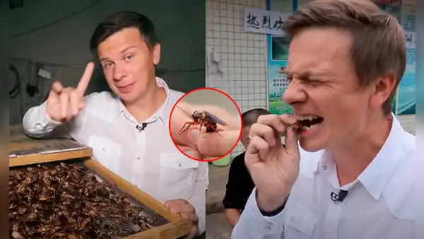 Joven come cucaracha de 70.000 dólares en China y sorprende con su comentario: “Es muy nutritiva”