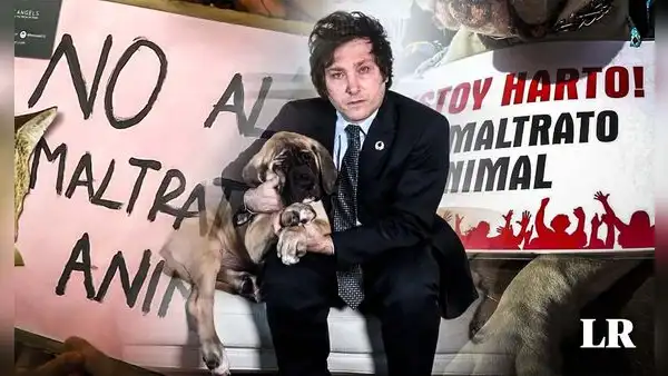 Ley Conan: Gobierno de Milei impulsa proyecto para incrementar penas contra el maltrato animal