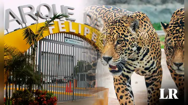 Parque de las Leyendas: ¿cuál es el precio de entradas y cómo comprar por internet?