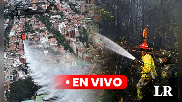 Incendios forestales en Colombia EN VIVO: alerta en Bogotá y otras regiones en medio de récord de calor