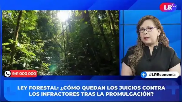 Ley Forestal. Lucila Pautrat: “Se han deforestado aproximadamente 11 millones de hectáreas a nivel nacional