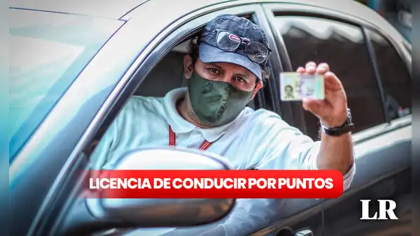 ¿Cómo eliminar o reducir los puntos de mi licencia de conducir de manera gratuita?