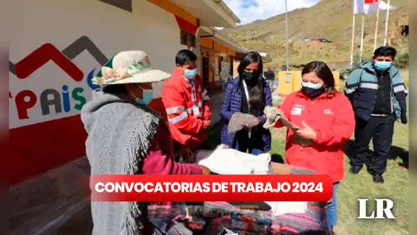 ¿Eres bachiller? Programa PAIS abre convocatoria en 8 regiones con sueldos de hasta S/6.000