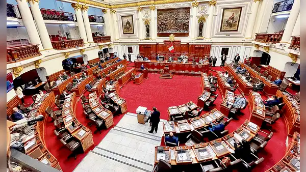 Congreso: parlamentarios dijeron tener “cero” ingresos en declaración jurada