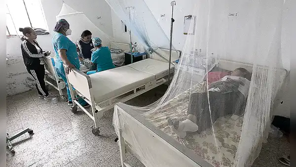 2024 se inició con altas cifras de dengue: 35% más que el año anterior