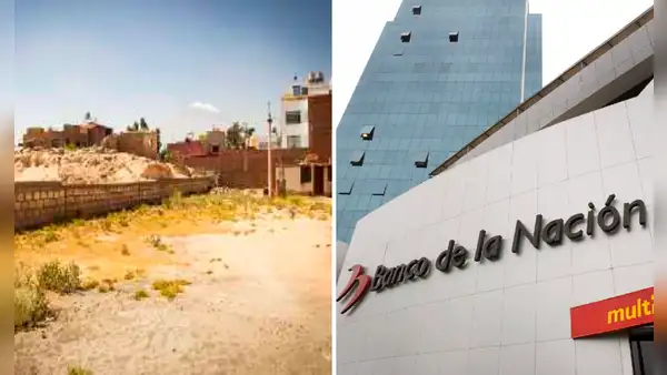 Banco de la Nación anuncia plan de crédito para terrenos este 2024: ¿quiénes accederán y desde cuándo?