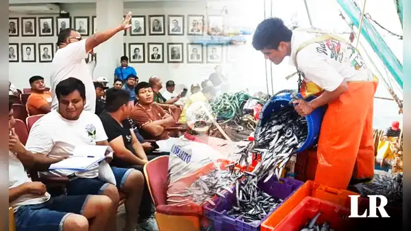 Chimbote: anchoveteros semiindustriales sabotean ley que protege a pescadores artesanales