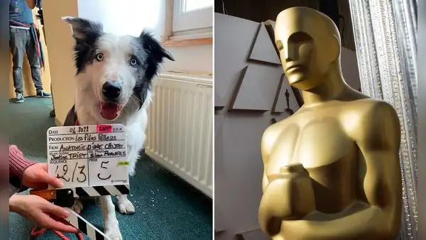 Messi, el perro actor que compite en los Premios Oscar 2024 y que podría vencer a ‘Oppenheimer’
