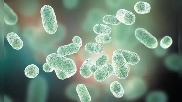 Científicos encuentran una forma de vida completamente nueva en el sistema digestivo