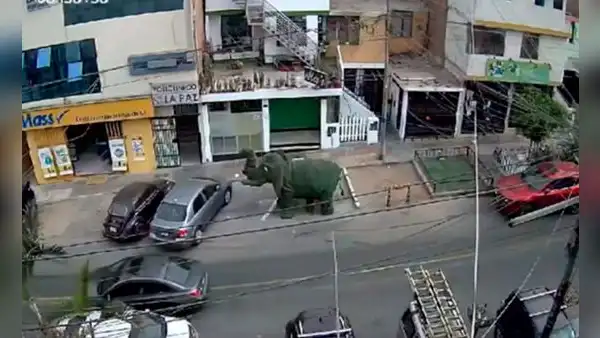 Ventanilla: bandas criminales desatan balacera por cobro de cupos en obra de construcción