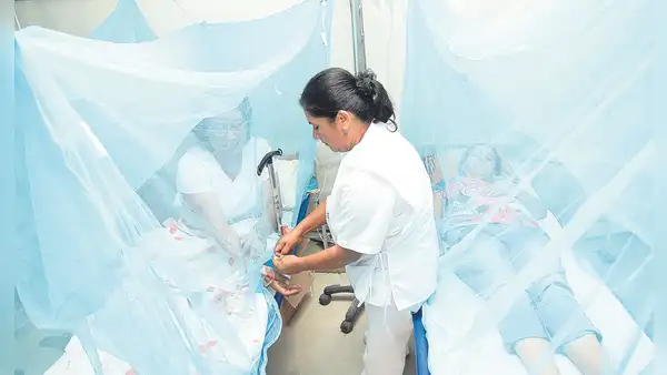 Incrementa en 40% los casos de dengue en el país respecto a 2023