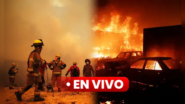 Incendios forestales en Valparaíso EN VIVO: inicia toque de queda en comunas de la ciudad portuaria
