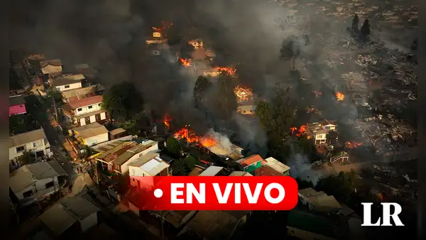 Incendios en Chile hoy, EN VIVO: aumentan a 112 los muertos en devastadores siniestros forestales