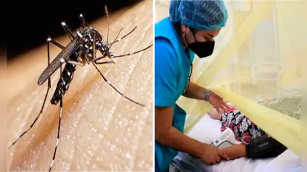 ¿Sabes cómo diferenciar el dengue de la gripe? Consejos de experta