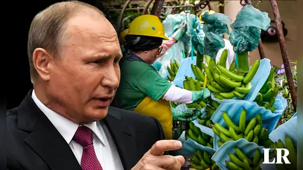 Ecuador podría perder a Rusia como cliente de plátanos tras apoyo a Estados Unidos