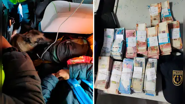Perro adiestrado de la Sunat detecta 500.000 soles no declarados en minibús de pasajeros