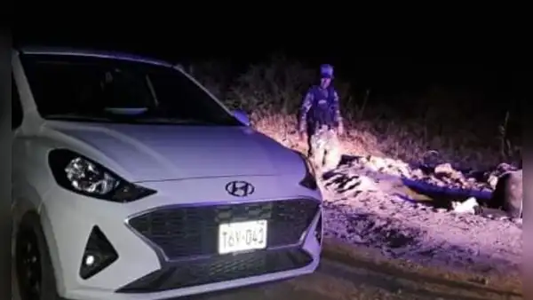 Cuatro fallecidos dejó balacera en La Libertad por supuesta disputa de terrenos