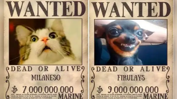 ¿Te gusta 'One Piece'? Así podrás crearles carteles de 'Se busca' a tus amigos sin instalar apps