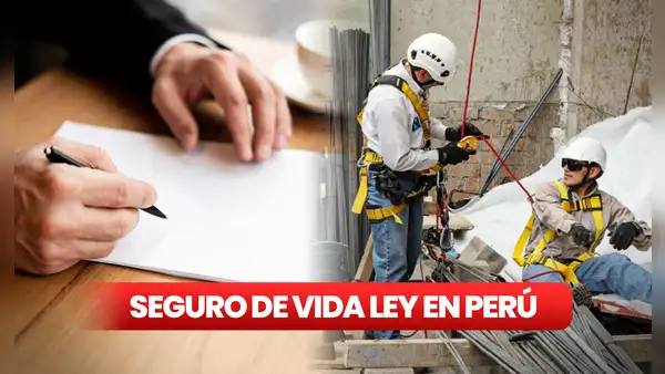 Asegura el bienestar de tus trabajadores: todo lo que debes saber sobre el Seguro de Vida Ley