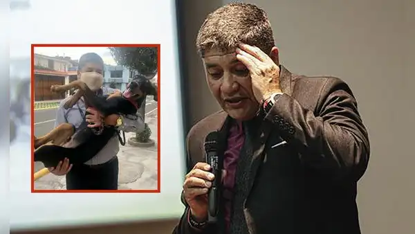 JNE ordena revisar pedido de vacancia contra alcalde de Arequipa por caso del perro Flechita