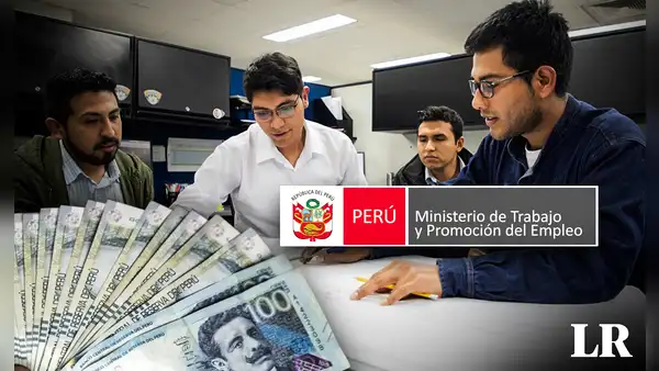 ¿Cuáles son las 5 carreras profesionales mejor pagadas en Perú? Sueldos pueden llegar hasta S/9.000