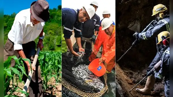 Trabajadores de agricultura, pesca y minería ganan por debajo del sueldo mínimo