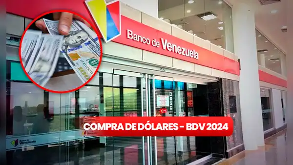 Banco de Venezuela 2024: ¿cómo comprar y vender dólares? Guía fácil