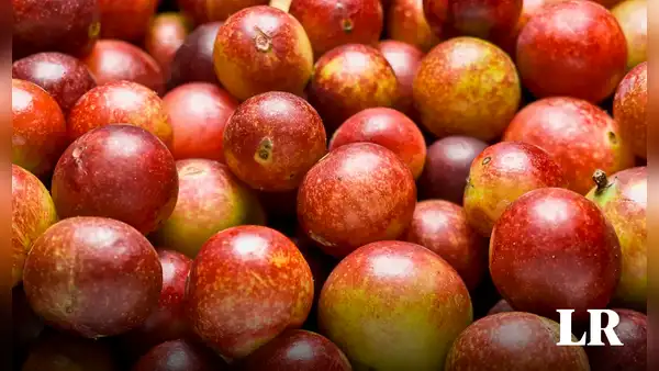 La fruta con mayor vitamina C en el mundo: supera 10 veces a la naranja y se cultiva en Perú