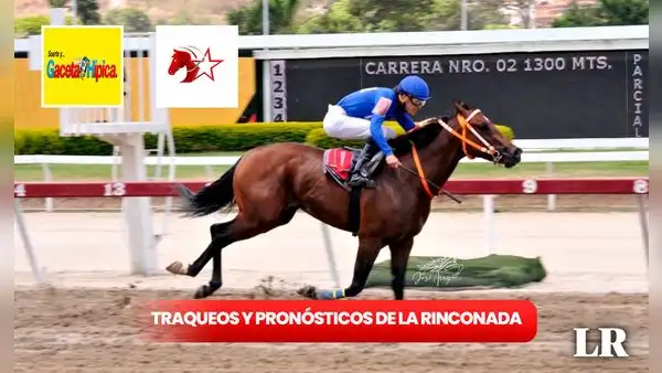 Traqueos y pronósticos 5y6 La Rinconada, 18 de febrero: los mejores datos de Gaceta Hípica y Fusión Hípica