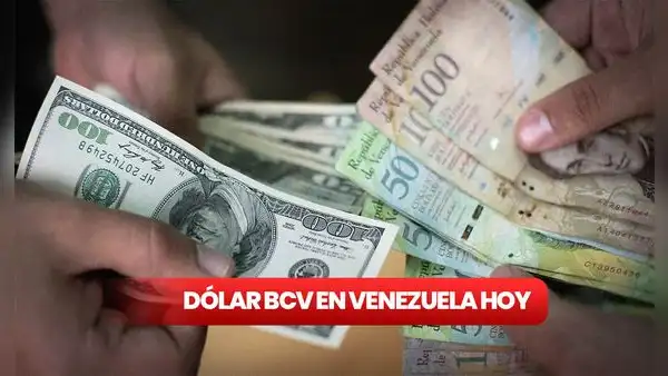Precio del dólar paralelo de HOY, martes 20 de febrero, según DolarToday y Monitor Dólar