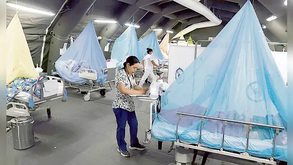 En seis semanas: 21 muertos y 18.000 infectados por dengue