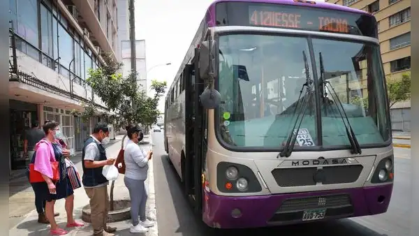 ¿Corredor Morado incumplió su contrato con la ATU? Gremio de transportistas de Lima se pronuncia