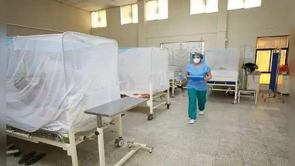 Dengue en Perú: Minsa anuncia que 32 personas fallecieron por la enfermedad en lo que va del 2024
