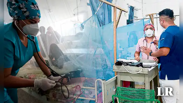Dengue: Gobierno de Dina Boluarte declarará estado de emergencia sanitaria en 20 regiones ¿cuáles son?