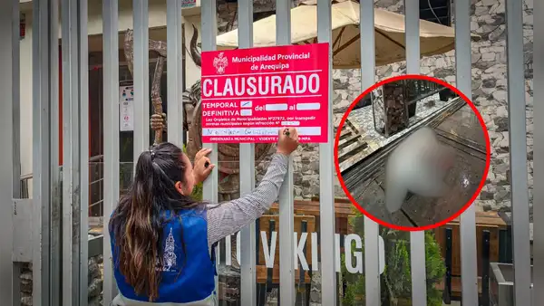 Perrito muere electrocutado tras acercarse a letrero de restaurante y autoridades clausuran local en Arequipa