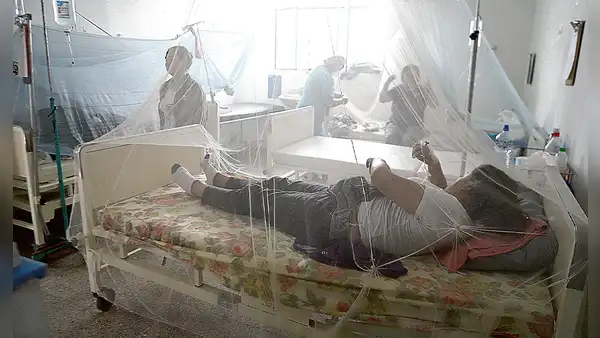 Van 32 muertos por dengue y ponen al país en emergencia