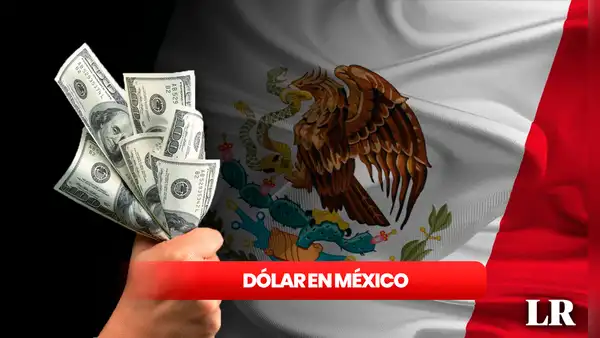 ¿Cuánto cuesta el dólar HOY, 29 de febrero de 2024, en México?