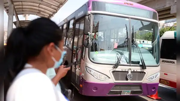 San Juan de Lurigancho: ¿qué rutas del Corredor Morado dejarán de funcionar desde el 4 de marzo?