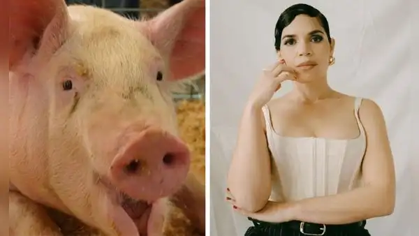América ferrera de cuidadora de cerdo a nominada a los Oscar 2024 por su monólogo feminista en 'Barbie'