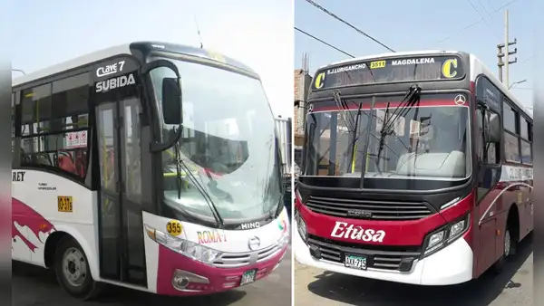 De SJL al centro de Lima: ¿qué empresas de transporte cubrirán la ruta del Corredor Morado?