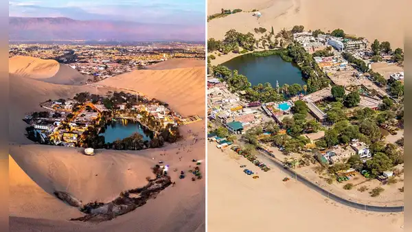 Conoce cuál es el único oasis natural en el continente americano: se encuentra en Perú